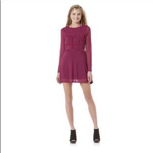 Plum Corset Skater Dress